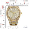 5418-Montres Carlo Iced Out Metal Band Watch