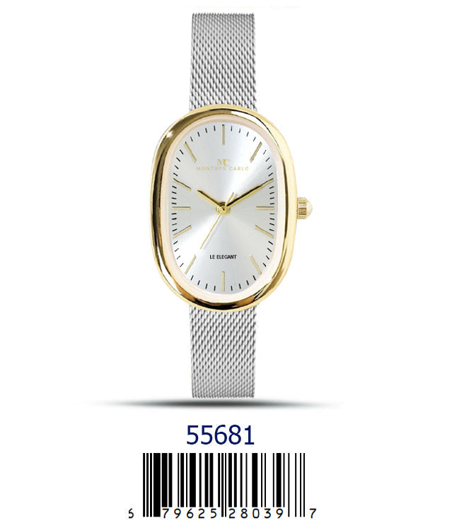 5568-Montres Carlo Mesh Band Watch